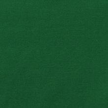 Forest Green Cotton Canvas Swatch